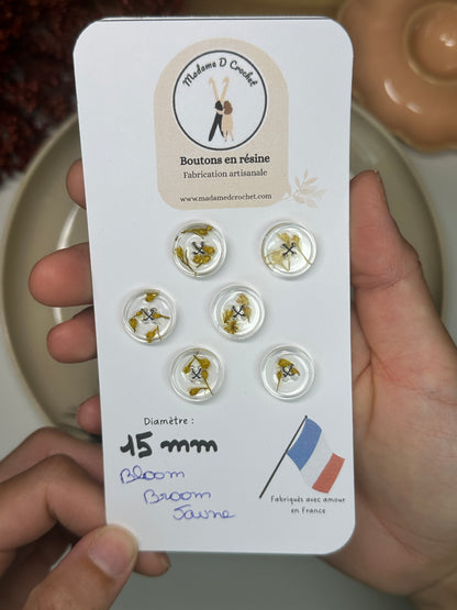 Délicats 15mm avec bordure