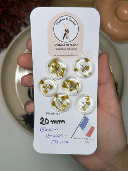 Délicats 20mm lisse