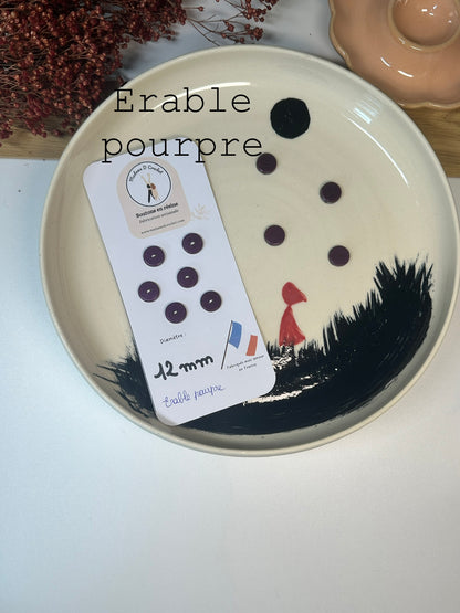 Boutons pailletés 12mm lisse