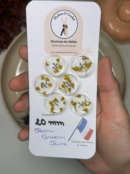 Délicats 20mm avec bordure