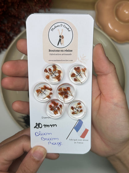 Délicats 20mm avec bordure